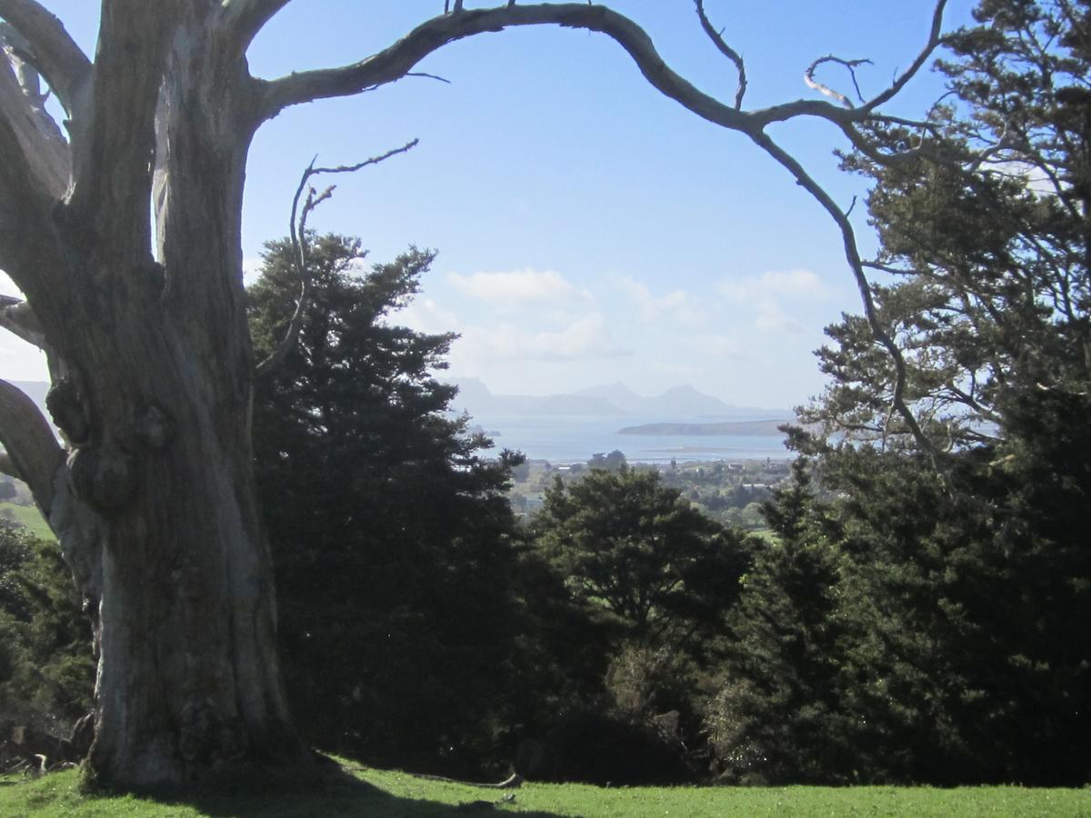 Hyecroft Lodge Whangarei Buitenkant foto