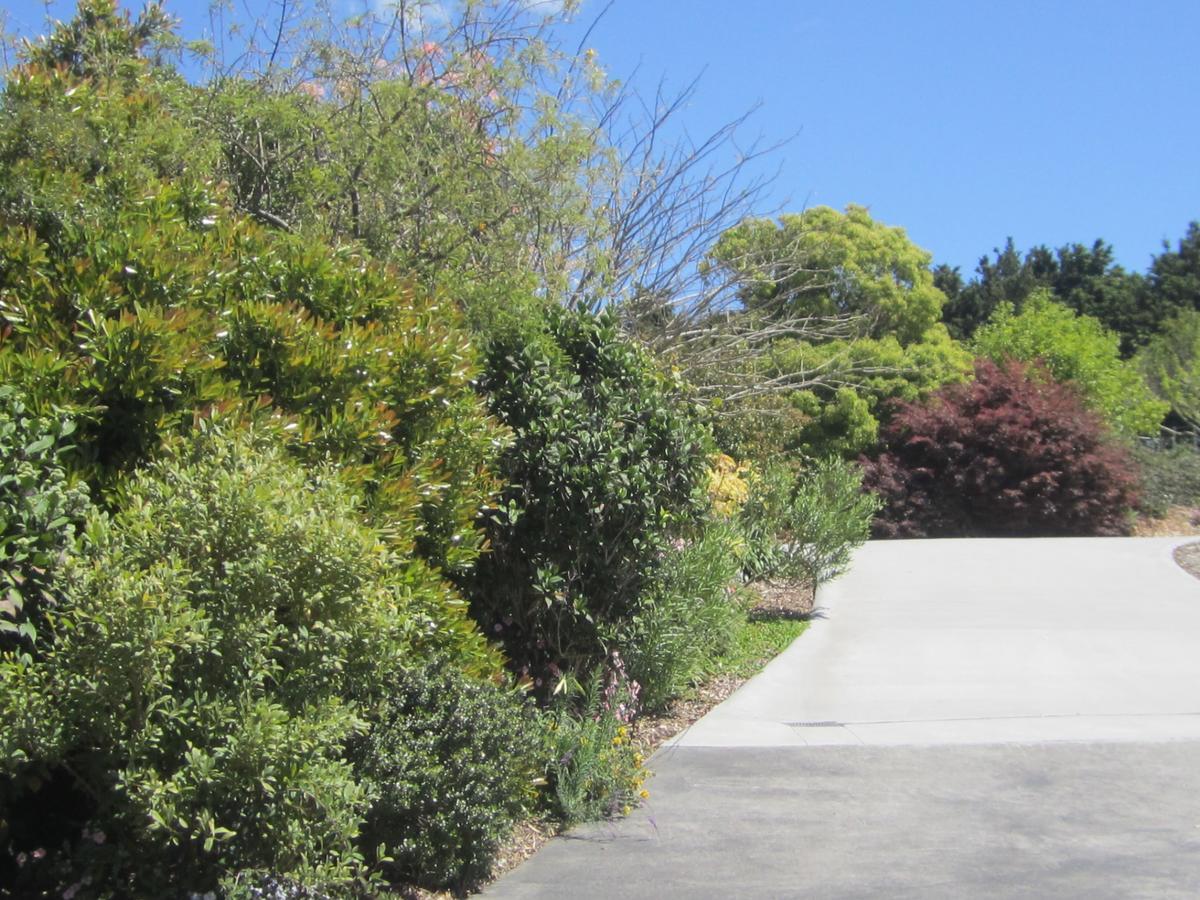 Hyecroft Lodge Whangarei Buitenkant foto
